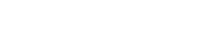 Logo Access b1
