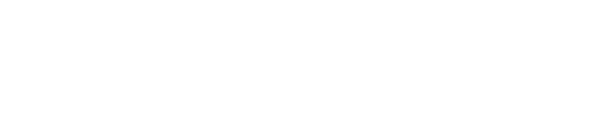 Logo Access b4